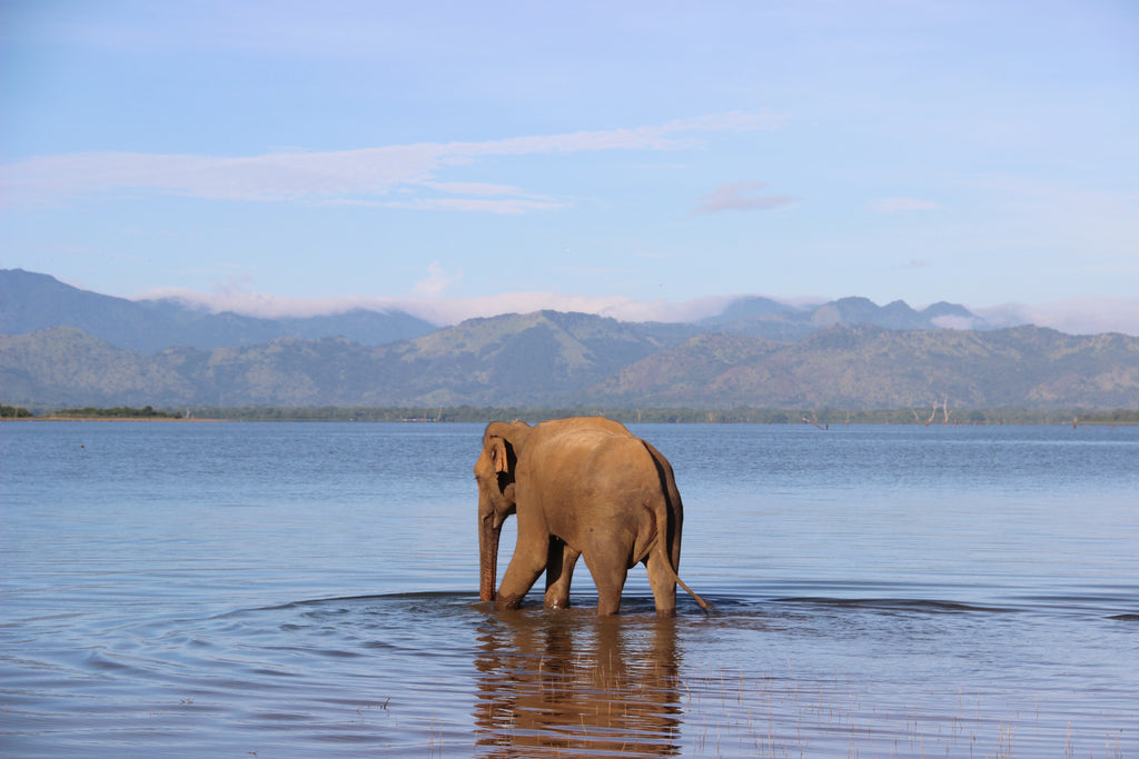 O peso da serenidade