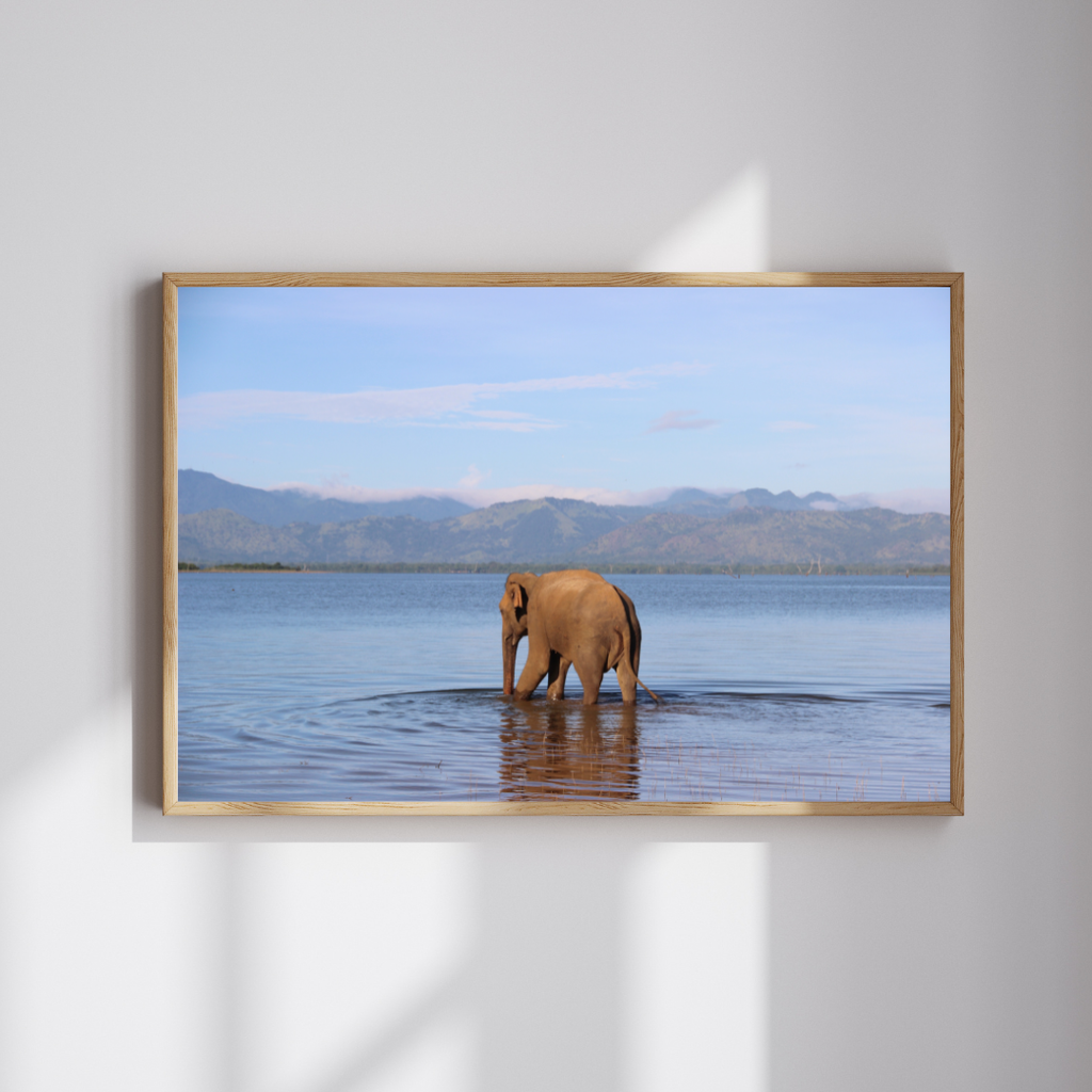 O peso da serenidade