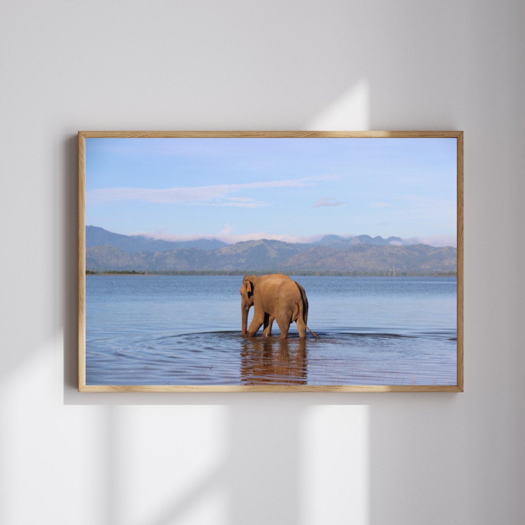 O peso da serenidade